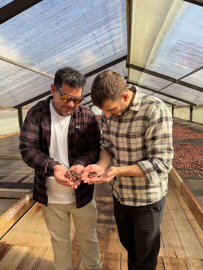 Granos de cacao de origen secos en la mano en la zona de secado de Finca Saquifrancia, en Puyo (Ecuador)