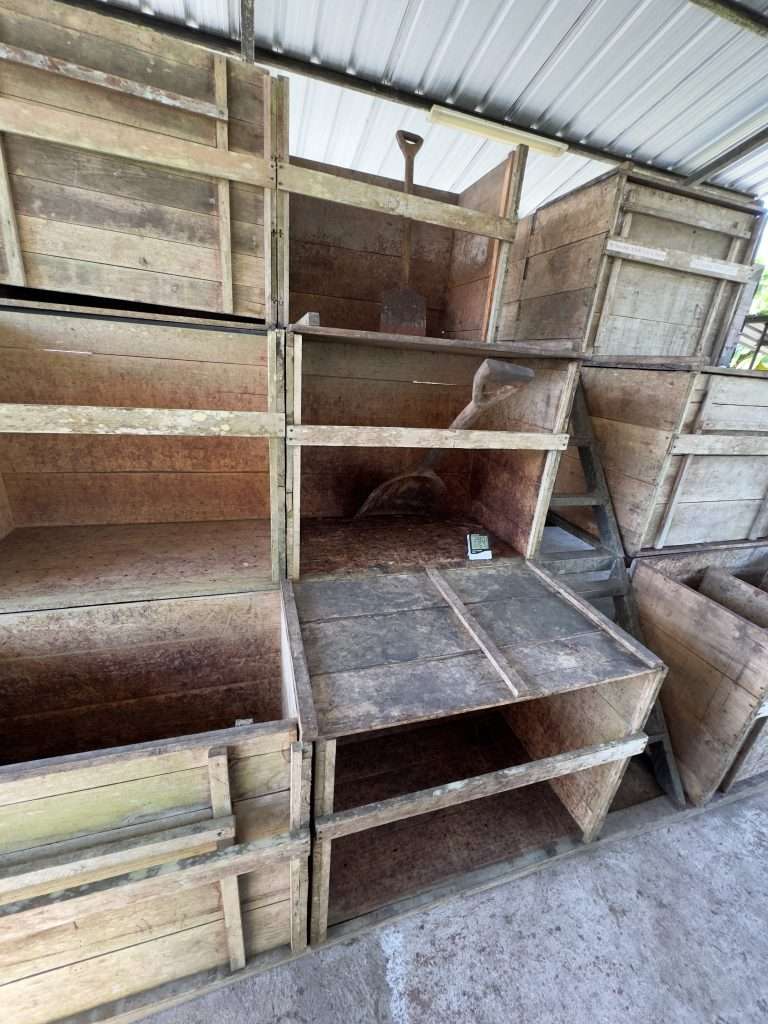 Cajones de fermentación de cacao de origen dispuestos en escalera en Finca Saquifrancia, Puyo (Ecuador)