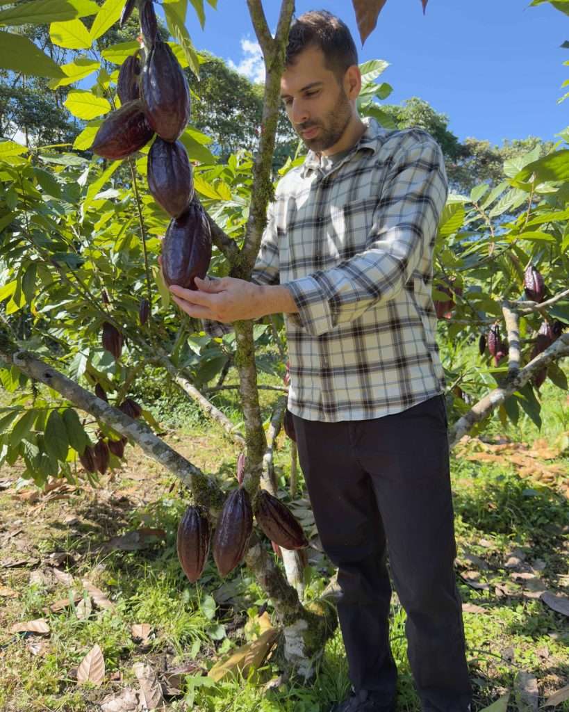 Cacao de origen: qué se decide en la plantación antes de llegar al obrador